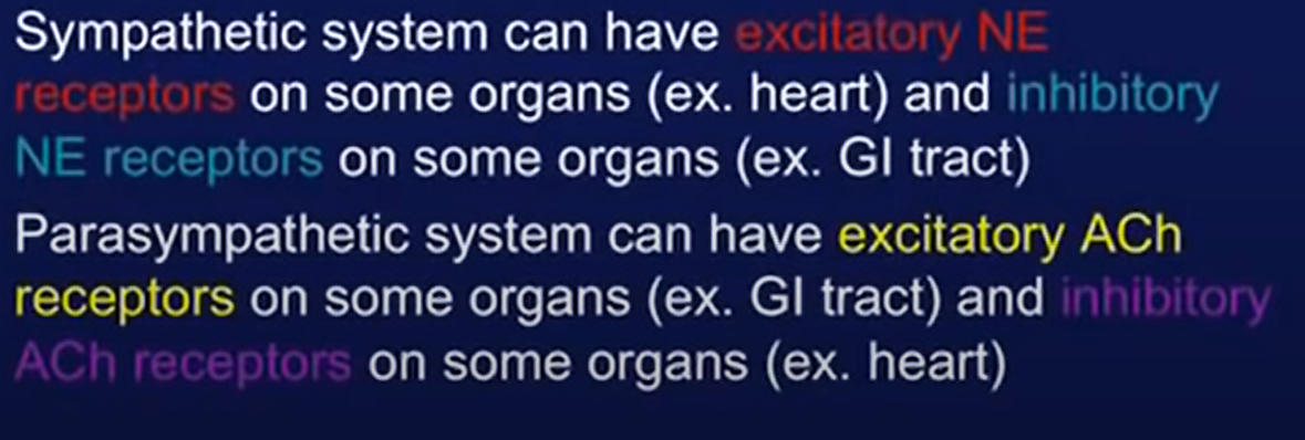 contoh receptor dua neurotransmitter di organ yang berbeda