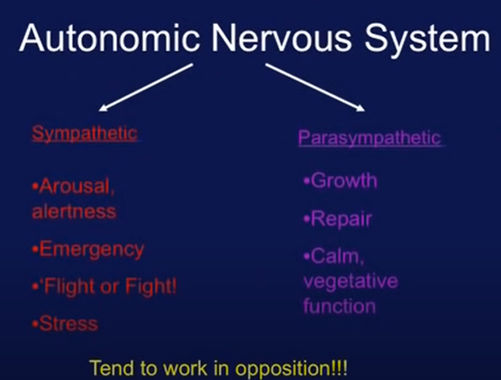 gambaran singkat perbedaan SANS dengan PANS