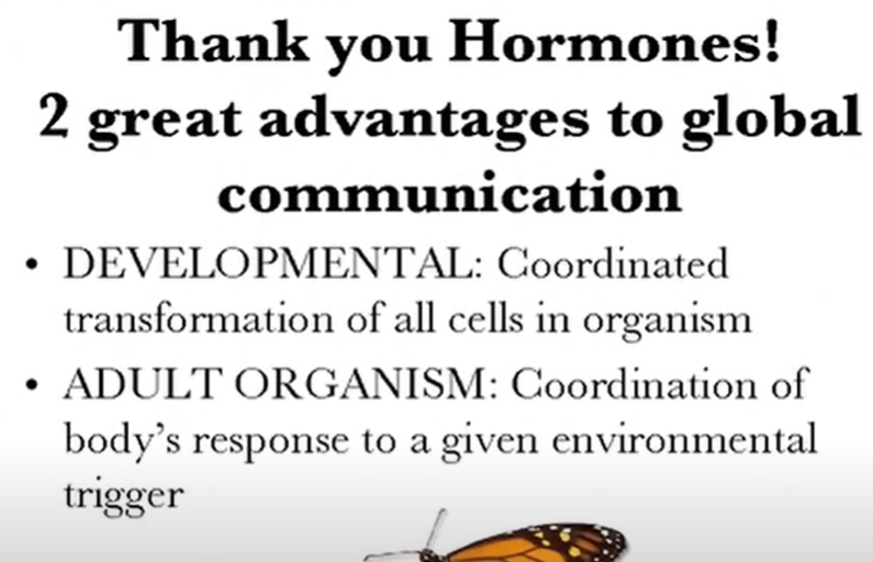 dua hal yang bisa dilakukan dengan endocrine