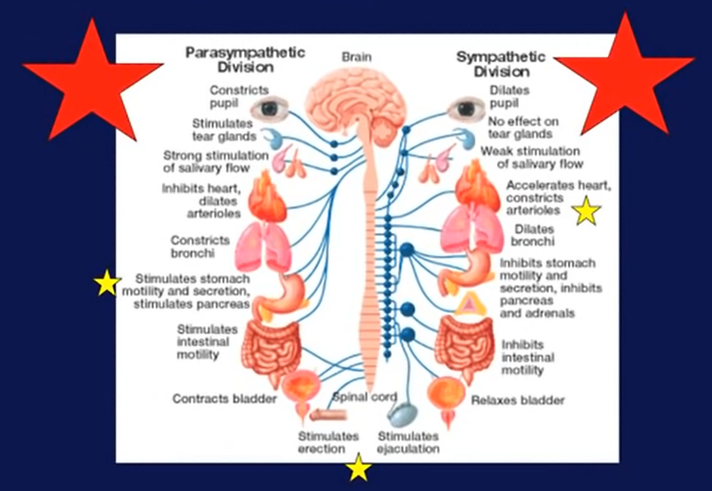 Perbadaan SANS dengan PANS
