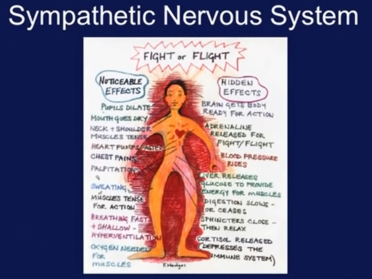 efek kalo sympathetic e lgi ke trigger