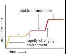 graph punctuated equilibrium